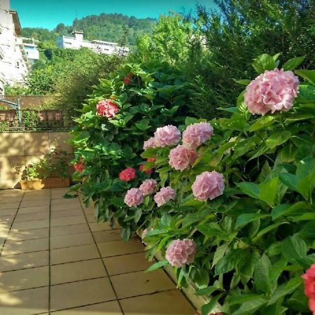 Appartamento Ondarreta Beach & Terrace San Sebastián Esterno foto